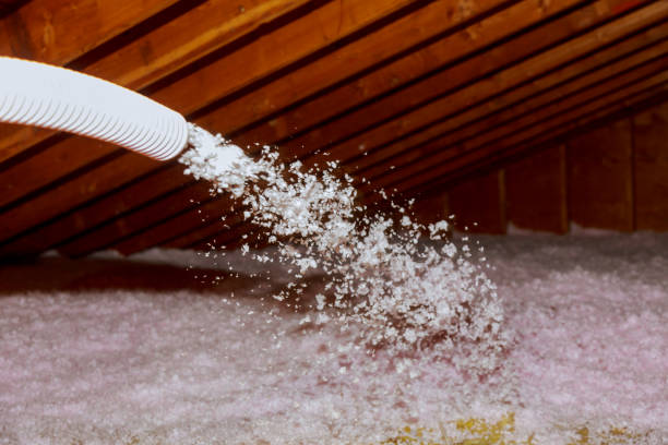 Trusted Port Richey, FL Insulation Contractor Experts