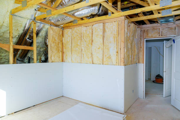 Best Insulation Maintenance and Repair in Port Richey, FL