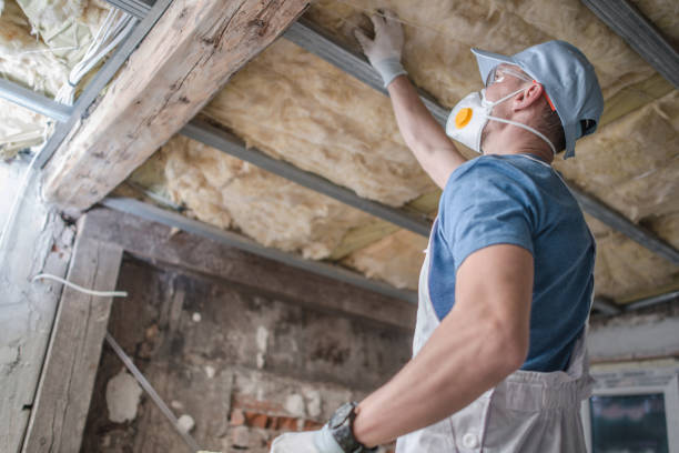 Best Commercial Insulation in Port Richey, FL