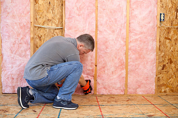 Best Blown-in Insulation in Port Richey, FL
